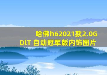 哈佛h62021款2.0GDlT 自动冠军版内饰图片